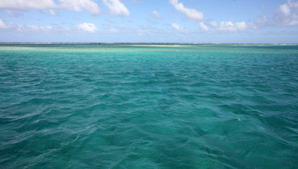 Scientist says GBRMPA report flawed